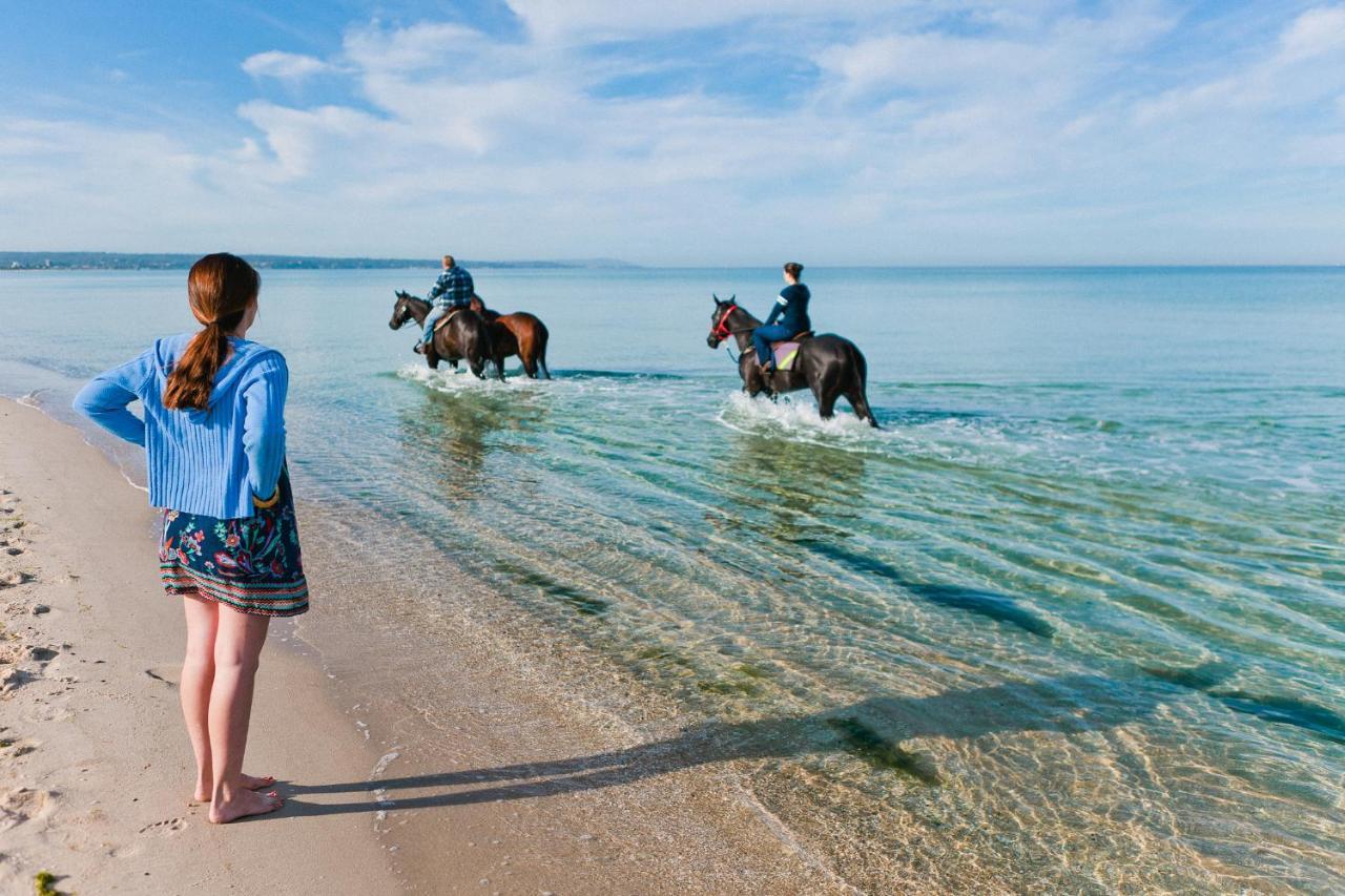 Sailaway Beach House Melbourne Dış mekan fotoğraf